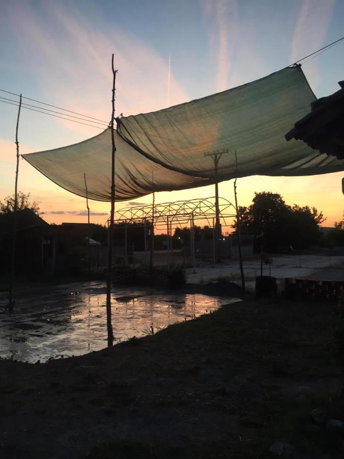 Anza Camping Shkodra Exterior foto
