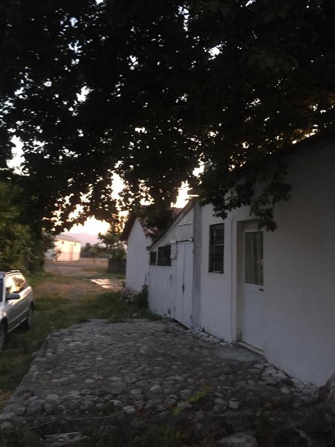 Anza Camping Shkodra Exterior foto