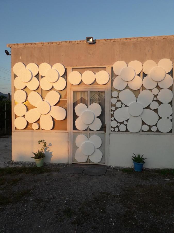Anza Camping Shkodra Exterior foto